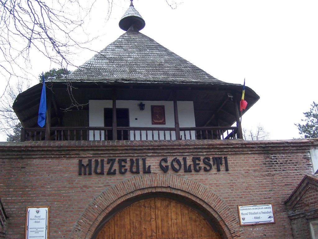 145 Visiting the Golesti museum