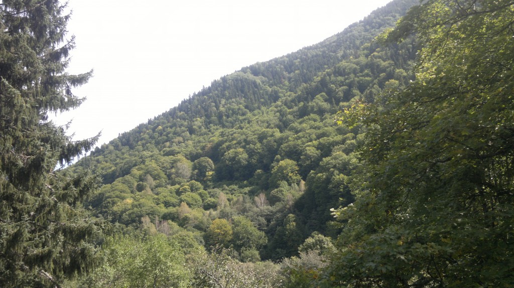 89 Rila monastery