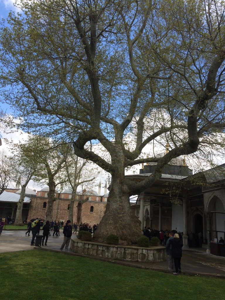 109 The Topkapı Palace