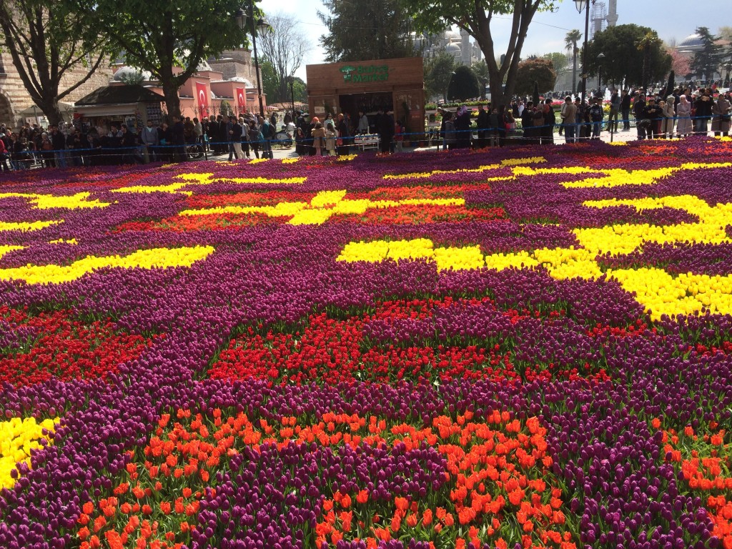 115 World's largest 'tulip carpet' in Istanbul