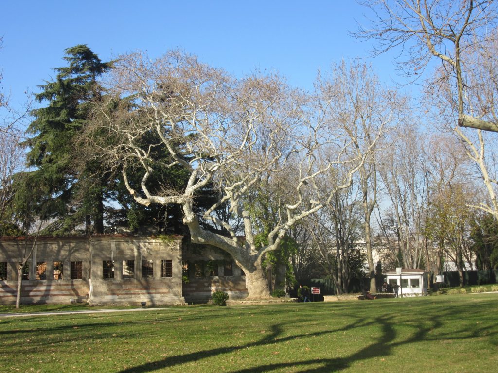 21. Topkapı Palace Museum