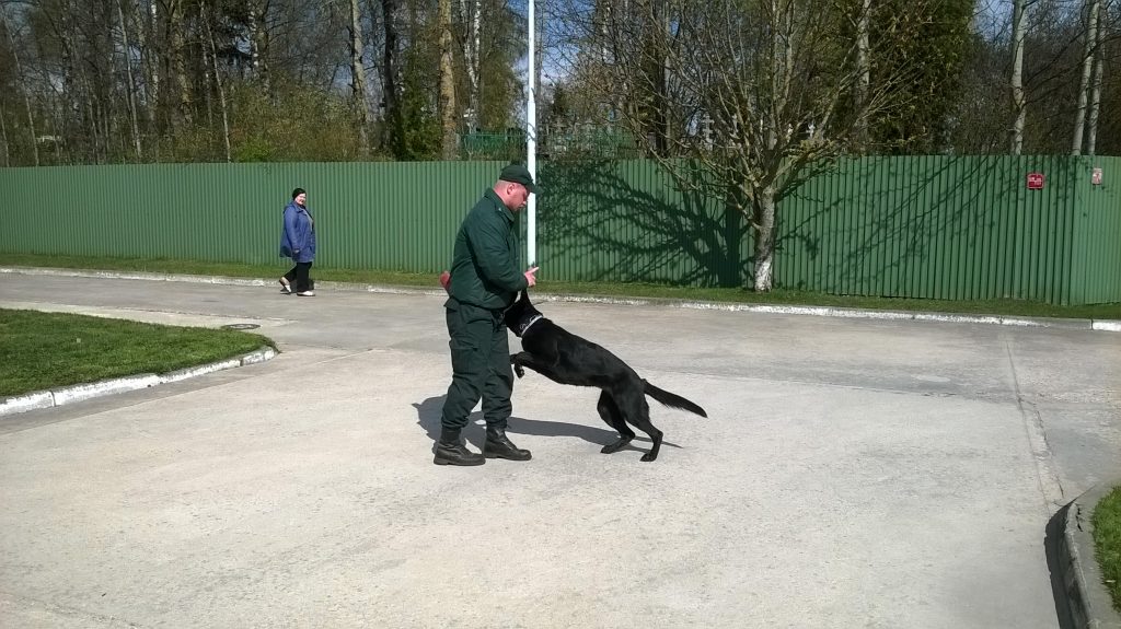 49. Rezekne State Border Guard college