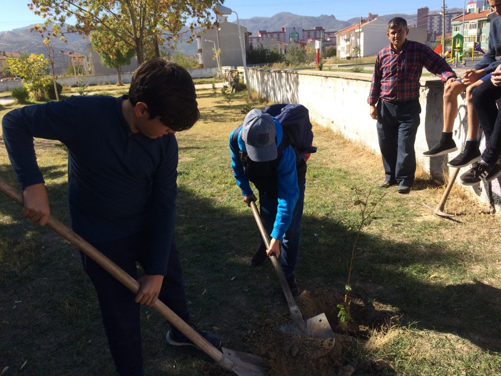 74. Afyon