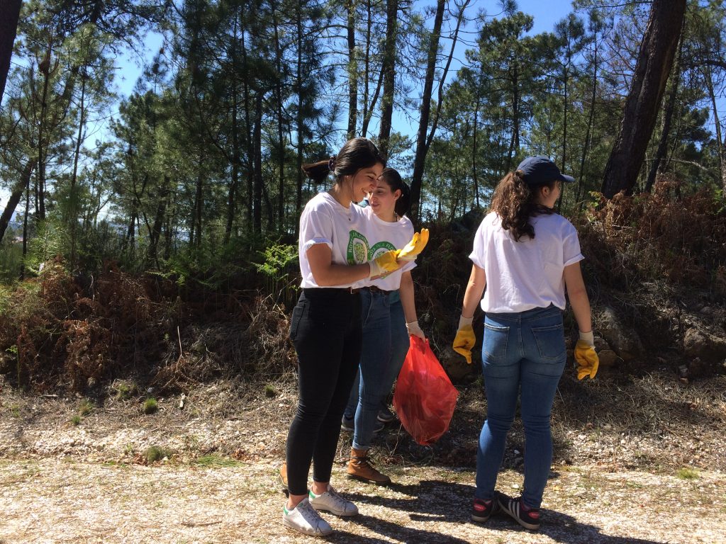 67. Cleaning the forest