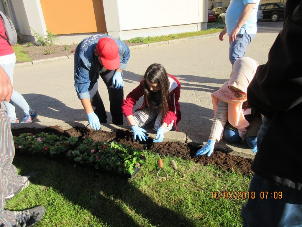 73. Planting the flowers