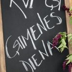 Ģimenes dienas koncerts