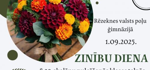 Zinibu diena