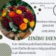 Zinibu diena